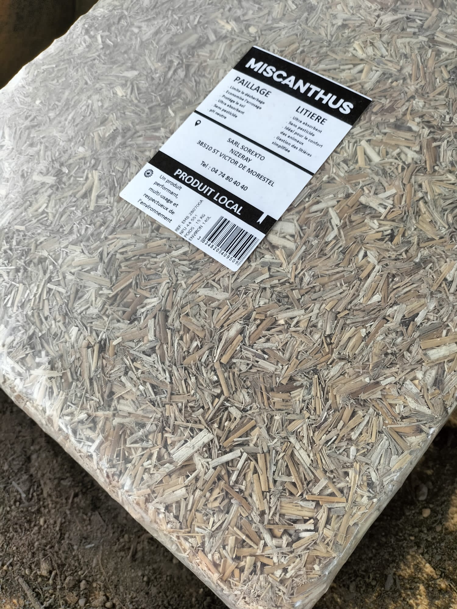 2024 03 AWT Miscanthus